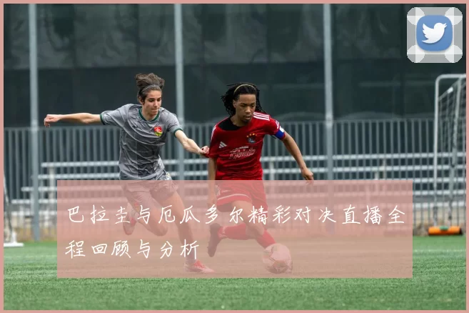 巴拉圭与厄瓜多尔精彩对决直播全程回顾与分析