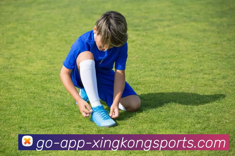 星空体育APP 封面图